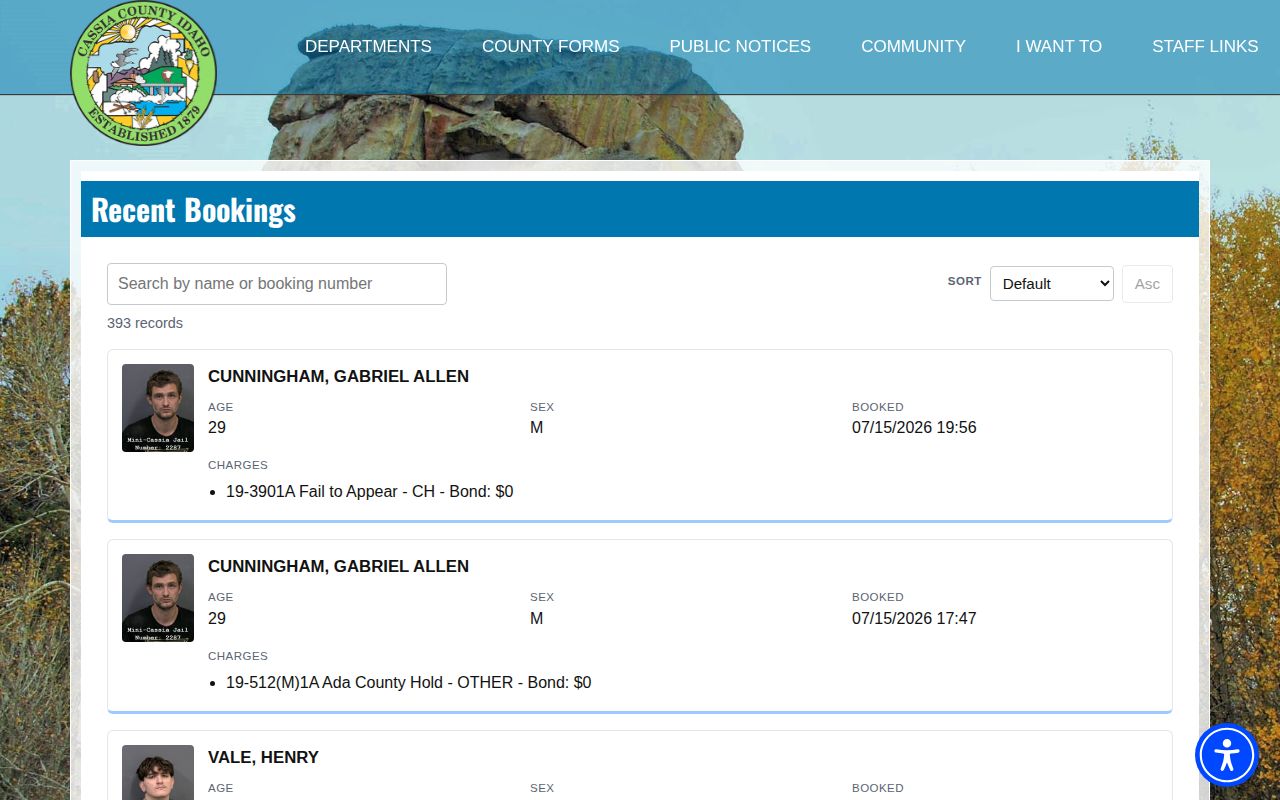Minidoka County recent booking page that is not a 24 hour release list